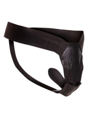 Remote Control Fantasy Panty